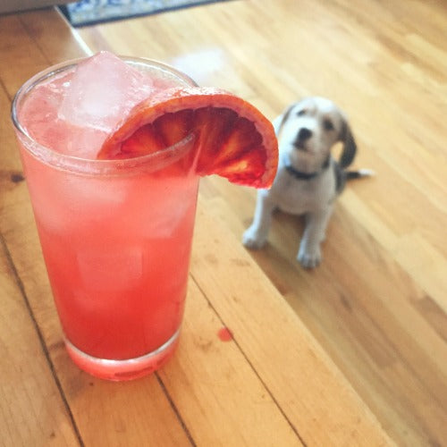 Happy Dogs and The Salty Dog Cocktail